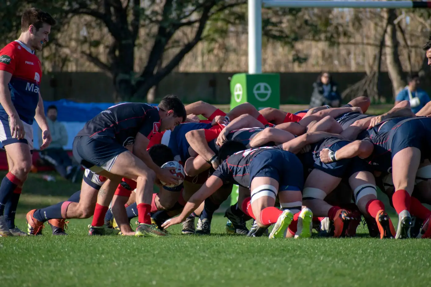 Deux packs de rugby liés en mêlée fermée sur une pelouse, des joueurs en maillots rouges et bleu marine autour du ballon